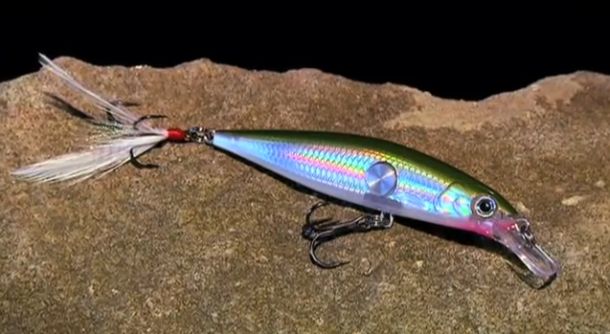 Federal Environment Minister Tony Burke.